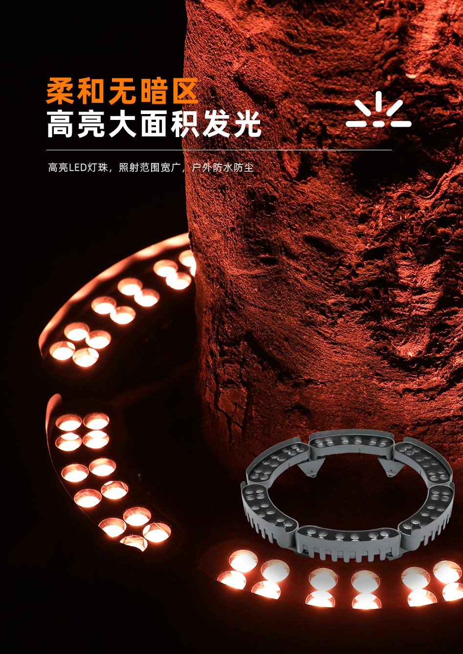 抱樹燈_05 抱樹燈_05